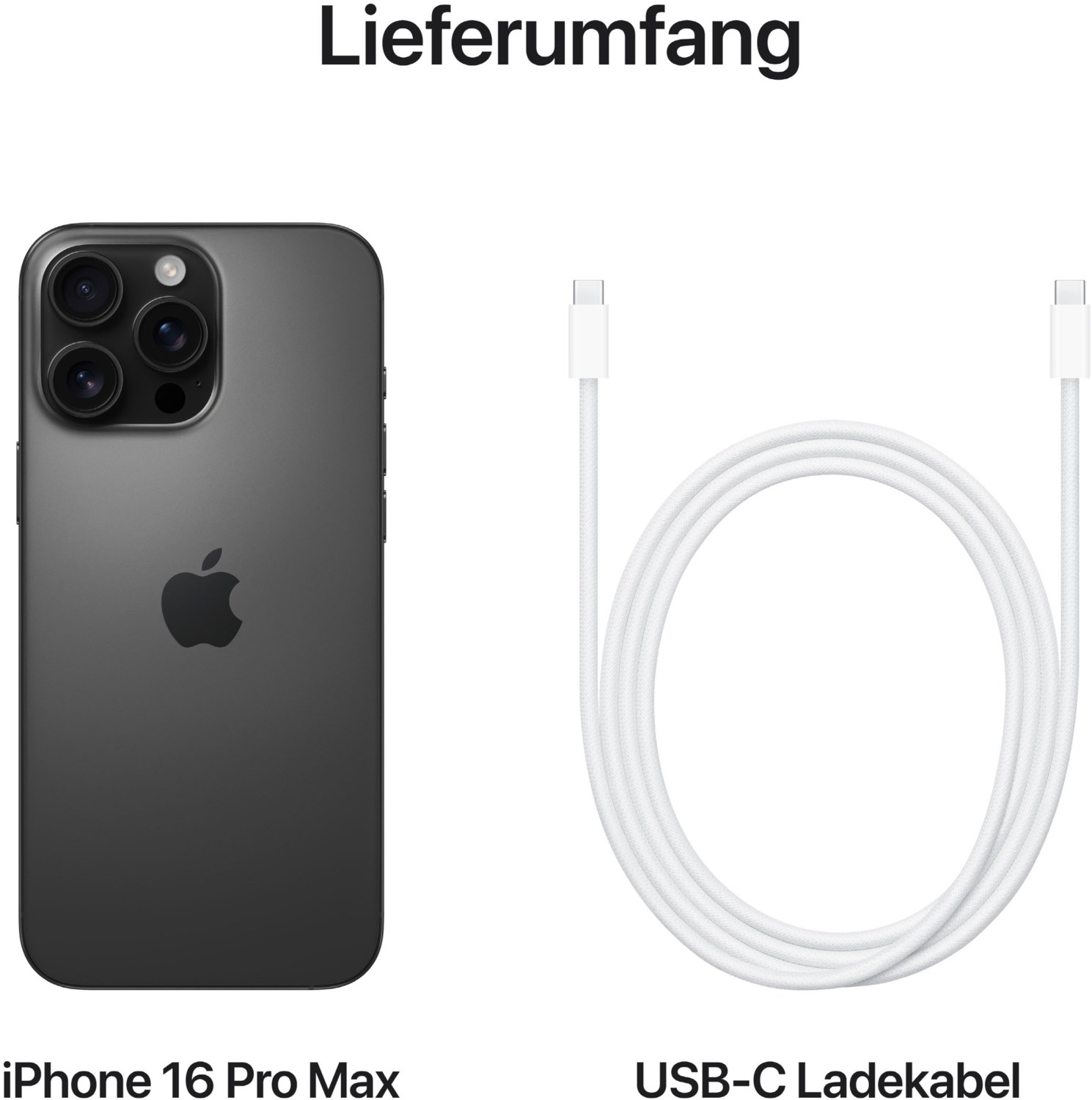 iPhone 16 Pro Max (256GB) titan schwarz