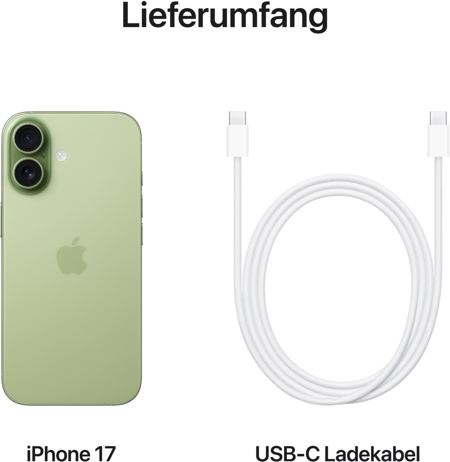 iPhone 17 (256GB) salbei
