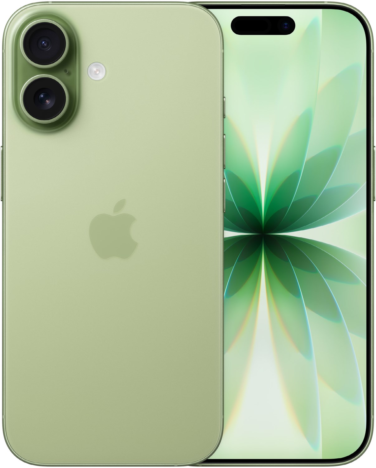 iPhone 17 (256GB) salbei