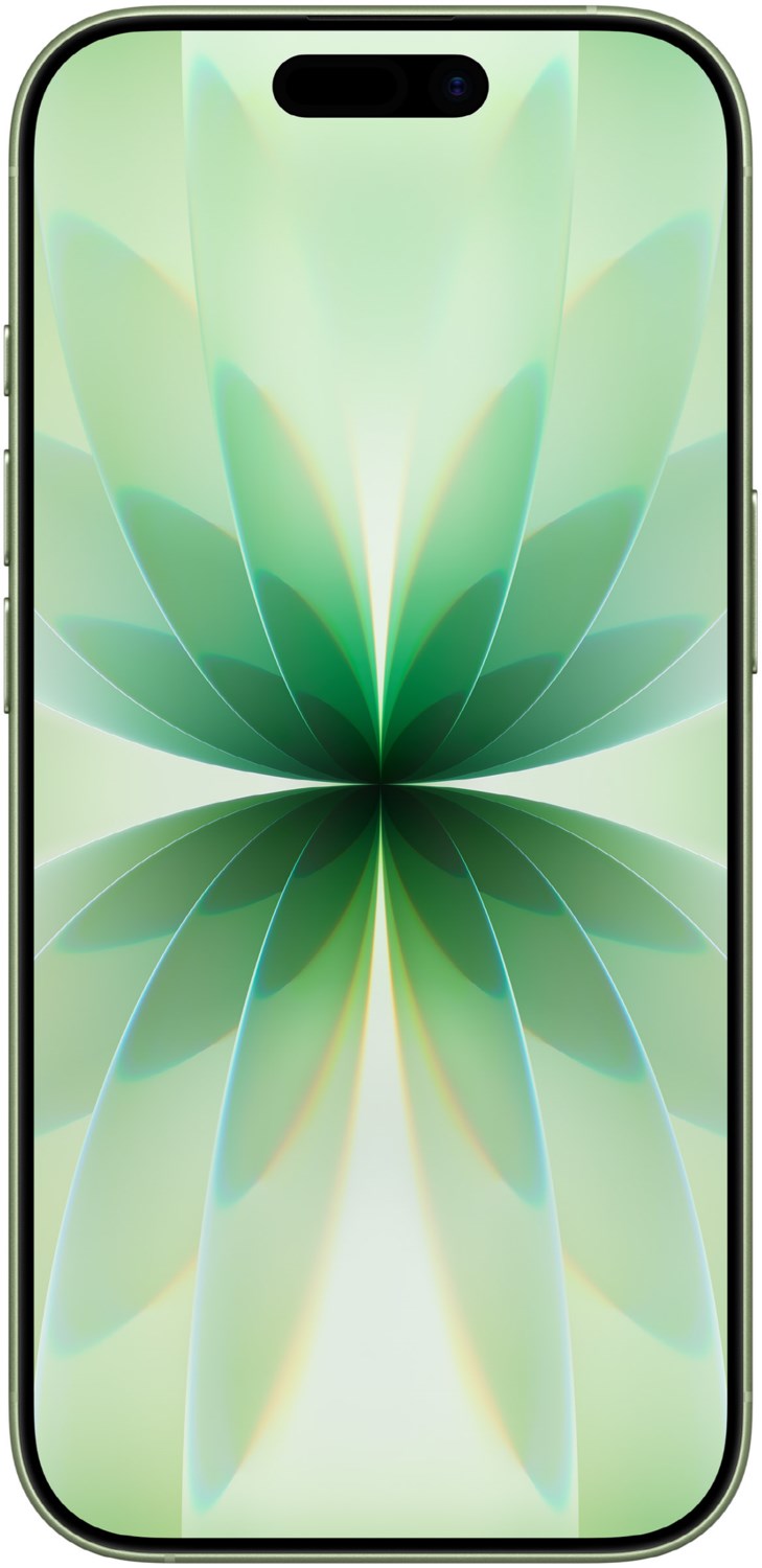 iPhone 17 (256GB) salbei