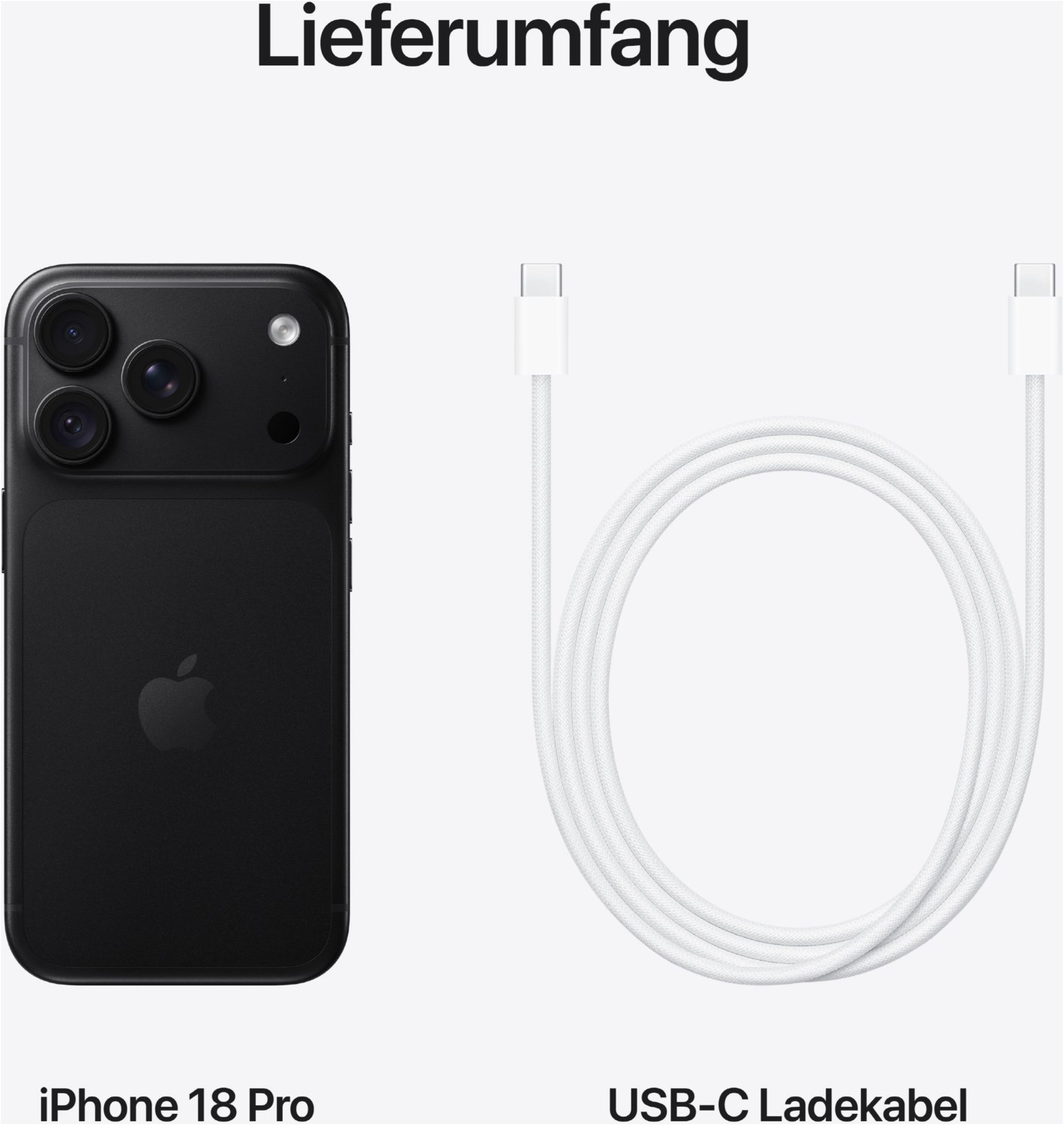 iPhone 18 Pro (256GB) schwarz