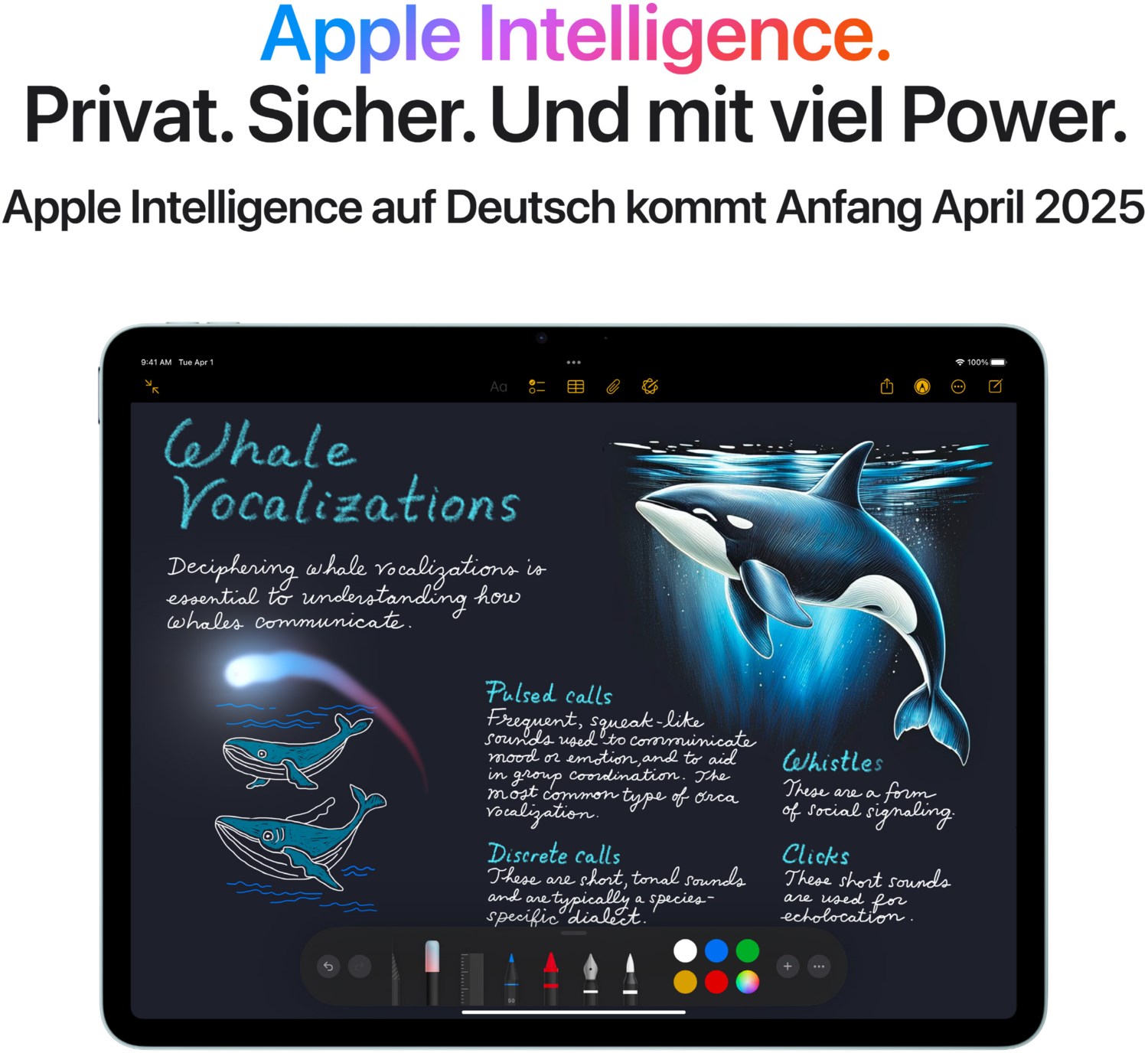 iPad Air 11" (128GB) WiFi + 5G (2025) space grau